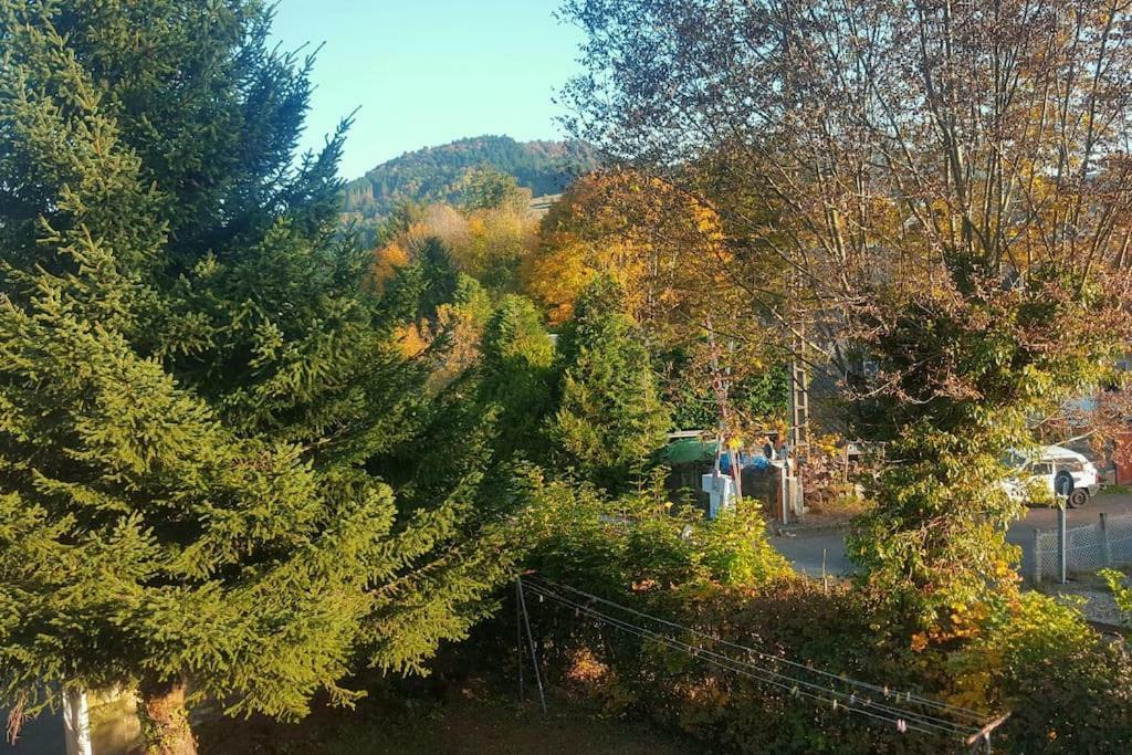 Appartement Charlannes لا بوربول المظهر الخارجي الصورة